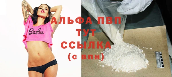 индика Балахна