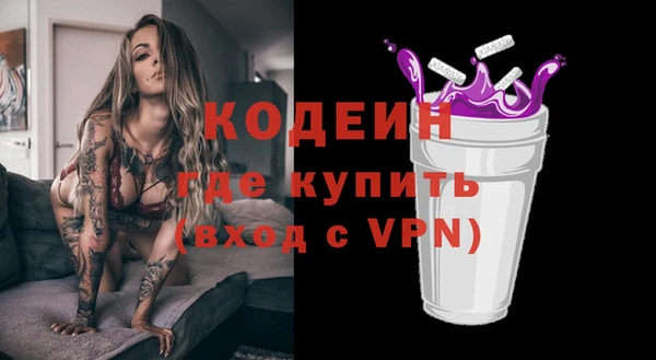 индика Балахна