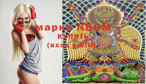 прущие грибы Балабаново