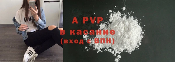 индика Балахна
