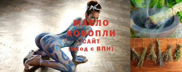 индика Балахна