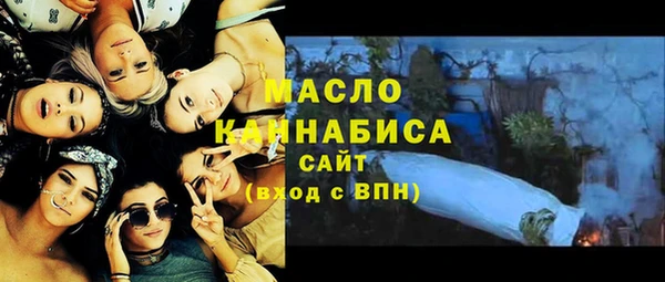индика Балахна